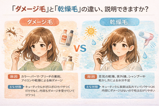「ダメージ毛」と「乾燥毛」の違い、説明できますか？
